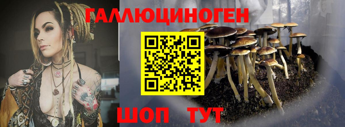 Галлюциногенные грибы ЛСД Красноярск